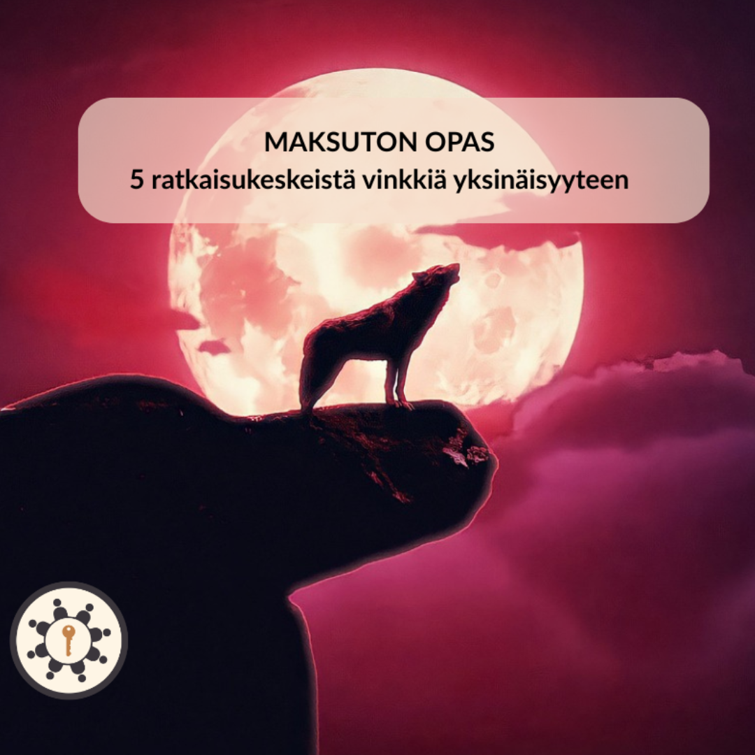 You are currently viewing LATAA MAKSUTON OPAS: 5 ratkaisukeskeistä vinkkiä yksinäisyyteen